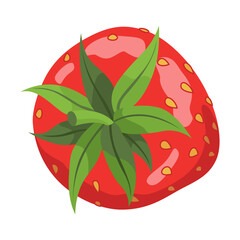 Fresh and Delicious Strawberry for Your Culinary Creations