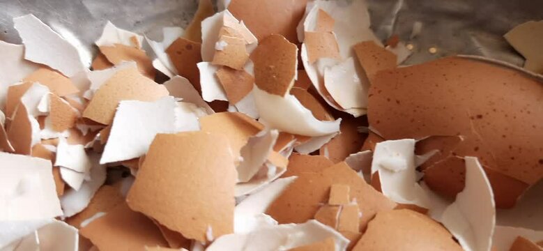 Broken brown eggshells texture background