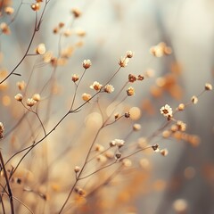 Embrace of Autumn: A Warm and Serene Moment