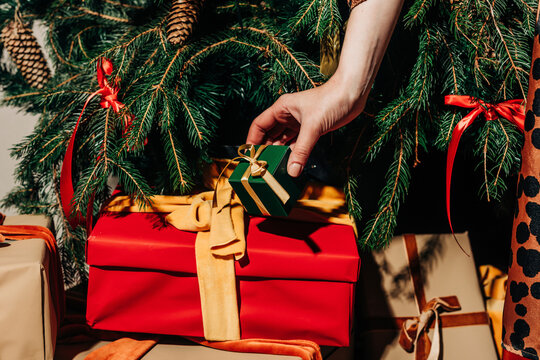 Hand of woman holding gift box near Christmas tree