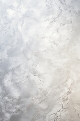 Obraz premium Shiny platinum texture flat lay background