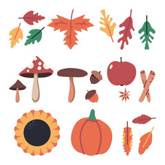 Autumn elements vector cartoon set isolated on a white background.