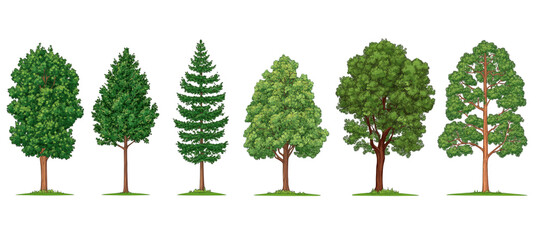 Fototapeta premium 3D render of cartoonish Japanese trees