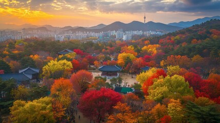 A vibrant view of the colorful fall foliage at Namsan Park, attracting nature lovers and photographers alike.