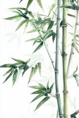 Obraz premium Elegant bamboo stalks with lush green leaves on a light background, ideal for nature-themed designs and tranquil environments.