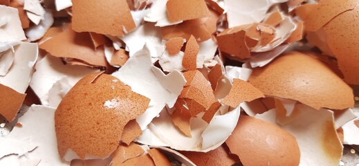 Broken brown eggshells texture background