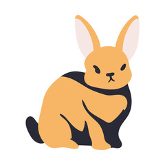 Yellow rabbit vector illustration isolated on background.