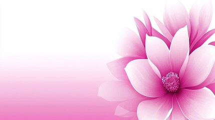 Fototapeta premium A pink flower on a pink background with a white center