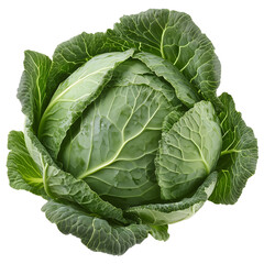Obraz premium a cabbage isolated on white background