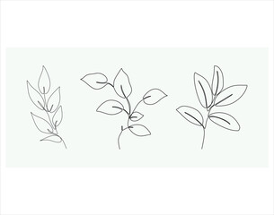 Set of black line art branch, leaf, plants. Botanical floral outline pencil sketch leaves isolated on white background. Hand drawn black simple vector illustration