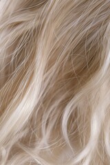 Naklejka premium Closeup of a woman's hair color and texture