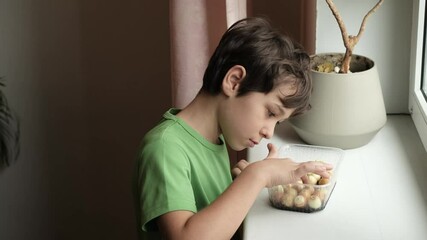 A young boy in a green shirt is using a spray bottle to water onions planted in a recycled plastic container. This image illustrates the importance of teaching children about sustainable living and - Powered by Adobe