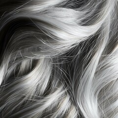 Naklejka premium Closeup of a woman's hair color and texture