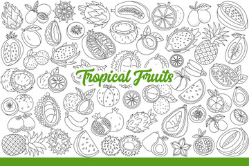 Tropical fruits growing on exotic palm trees in hot climate of southern islands. Tropical citrus fruits and lychees or pineapples near kiwi and bananas with sweet pomegranate. Hand drawn.