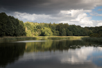 Landscape, fresh air, a walk in the park.
