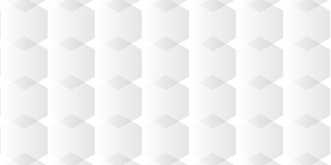 Obraz premium Comprehensive Exploration of Hexagon White Geometry Tiles: Unveiling the Intricate Beauty, Design Versatility, and Modern Applications of Vector Graphics in Contemporary Interior Decor, Architecture