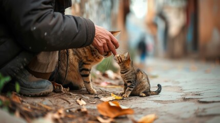 stray animals and people
