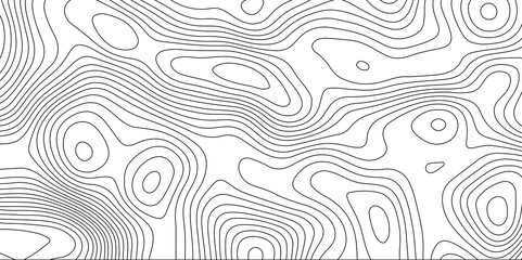 White topography topology texture wavy contour map texture design graphics old map texture smooth curved lines abstract background design wallpaper for desktop