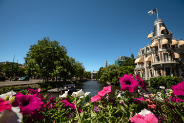 Obraz premium Blooming Flowers overlooking a Scenic Canal in Amsterdam, Netherlands