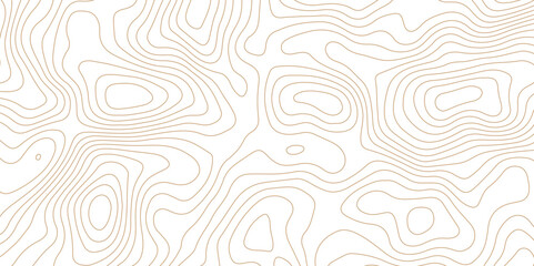 White topography topology texture wavy contour map texture design graphics old map texture smooth curved lines abstract background design wallpaper for desktop