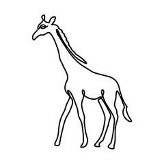 Monoline Wild Animal Hand Drawn Illustration Elements Vector