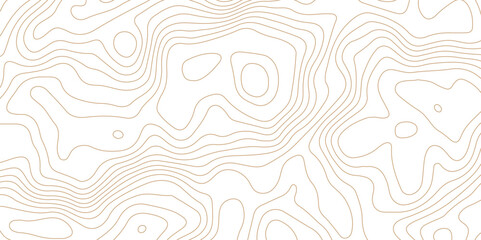 White topography topology texture wavy contour map texture design graphics old map texture smooth curved lines abstract background design wallpaper for desktop