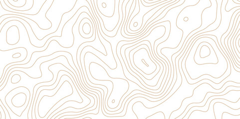 White topography topology texture wavy contour map texture design graphics old map texture smooth curved lines abstract background design wallpaper for desktop