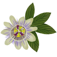 งานศิลปะที่ไม่มีชื่อ