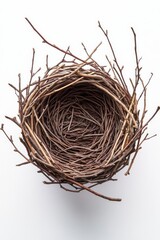 Obraz premium Natural Twig Nest Crafted Intricately With Twigs and Branches, Showcasing Detailed Structure and Design