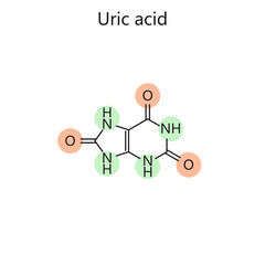 Chemical organic formula of uric acid diagram hand drawn schematic raster illustration. Medical science educational illustration