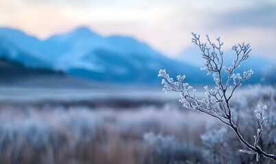 frosty branch standing out in the foreground with a serene, Generative AI 
