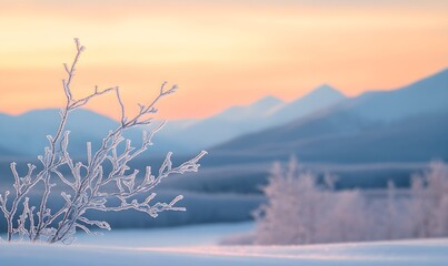 Fototapeta premium frosty branch standing out in the foreground with a serene, Generative AI 