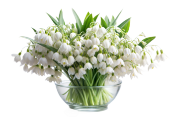 Bouquet of Snowbell Flowers in a Vase