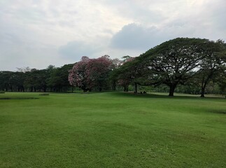 A public park with a large lawn and large shady trees planted around the park.