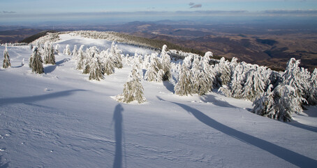 winter wonderland with snowy fir trees in the mountains