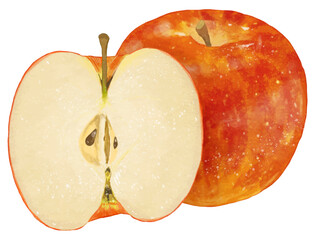 リアルな赤いりんご1個と半分