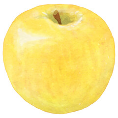 リアルな黄りんご1個