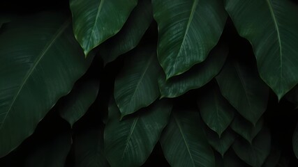green leaves background