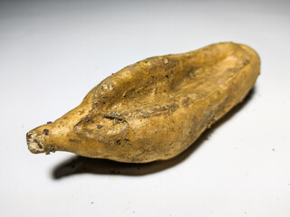 Fresh sweet potato isolated on white background