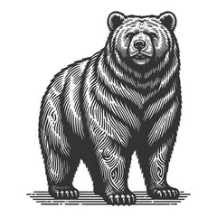 Obraz premium grizzly bear, showcasing its strength and majesty in a classic engraving style sketch engraving generative ai raster illustration. Scratch board imitation. Black and white image.