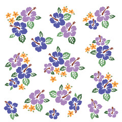 Obraz premium Impressive and beautiful hibiscus illustration collection,