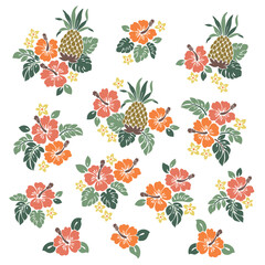 Impressive and beautiful hibiscus illustration collection, © daicokuebisu