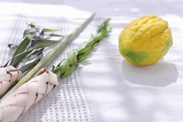Jewish festival of Sukkot. Traditional symbols (The four species): Etrog (citron), lulav (palm branch), hadas (myrtle), arava (willow) © tomertu