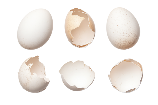 broken egg isolated on white
