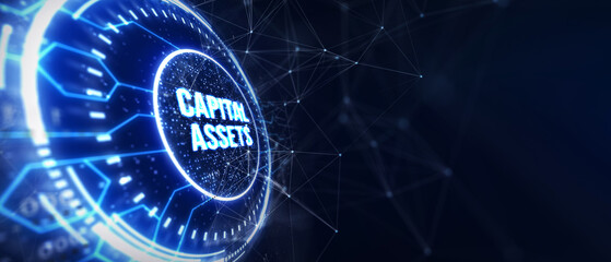 Business, Technology, Internet and network concept. Capital assets. 3d illustration