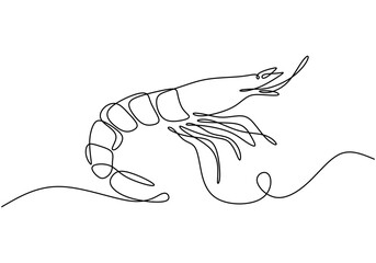 Fresh Shrimp in a One Line Drawing, Simple Seafood Illustration.