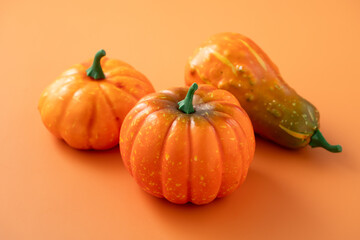 Harvest and autumn Halloween, thanksgiving design concept with pumpkin.