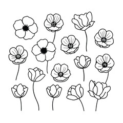 A vibrant red poppy flowers vector illustration on a white background. This elegant and detailed design is perfect for floral-themed art, prints, cards, or decoration projects.