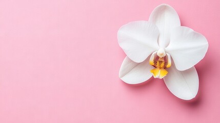   A white bloom with a golden core on a pale backdrop, featuring a space for a name in the flower's heart