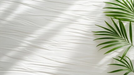 Obraz premium Bright sunlight casts intricate shadows of palm fronds on a smooth white wall, creating a calming tropical ambiance perfect for relaxation and leisure